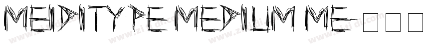 MEIDITYPE MEDIUM ME字体转换